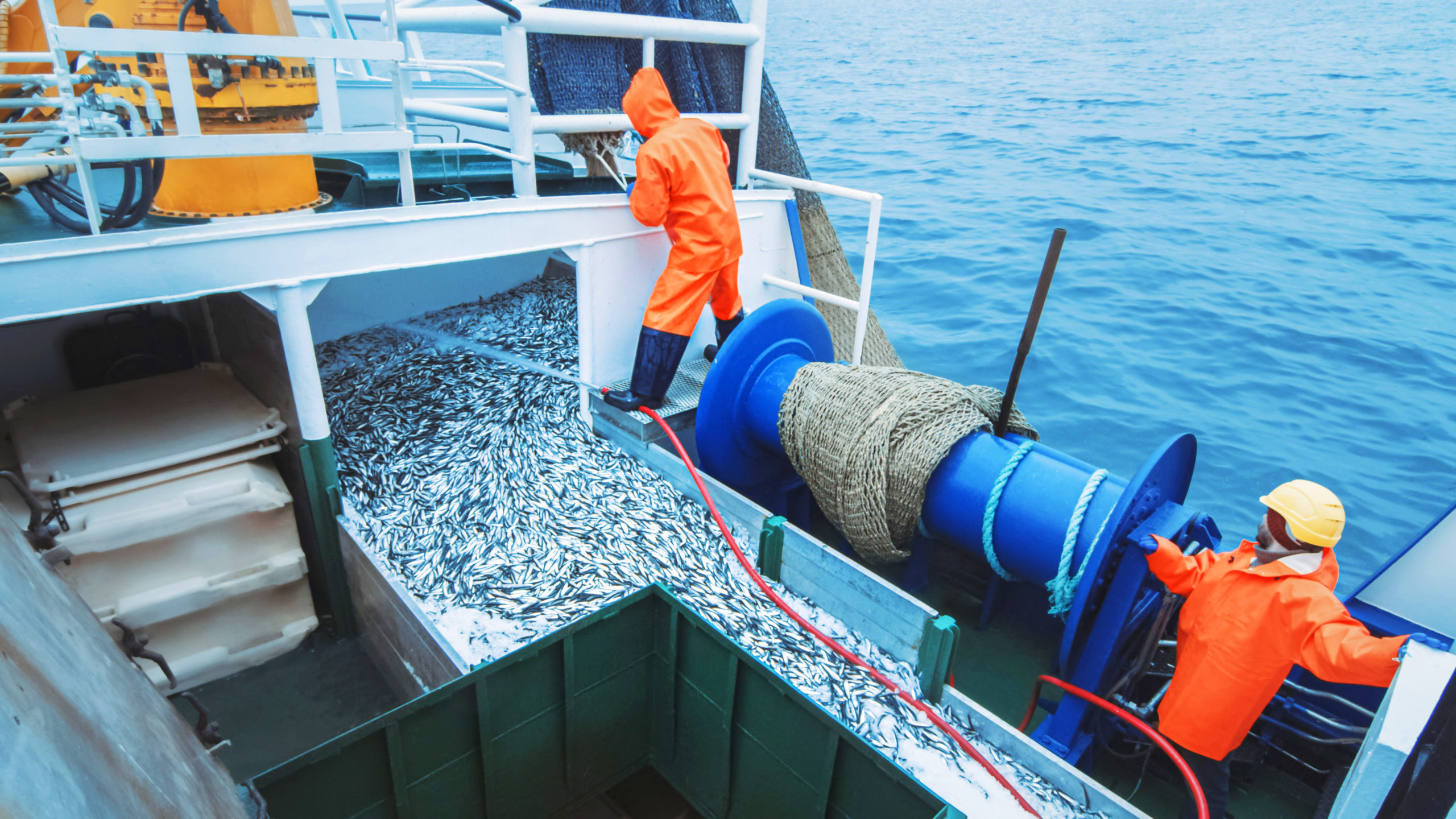 AdobeStock_285222018 scaled 1